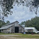 Historic wooden barn with vendor tents and visitors at the Florida Agricultural Museum grounds