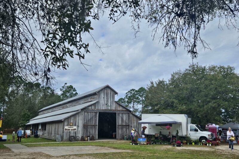 Historic wooden barn with vendor tents and visitors at the Florida Agricultural Museum grounds