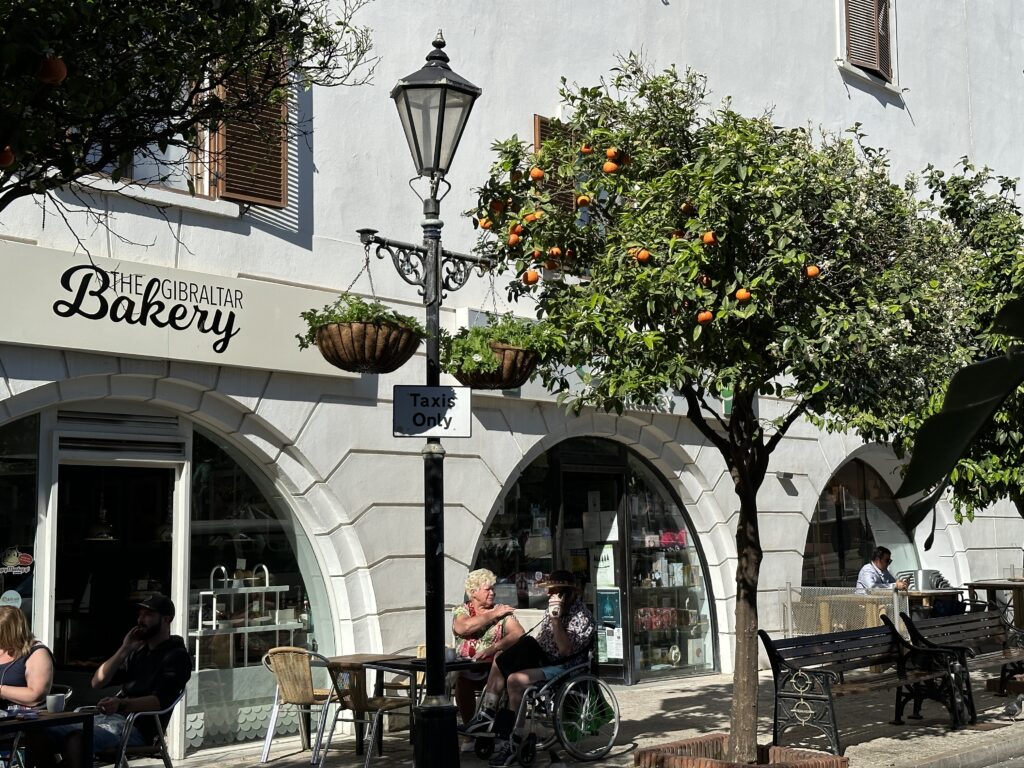 Orange tree outside a café in Gibraltar with outdoor seating and a “Taxi Only” sign nearby.