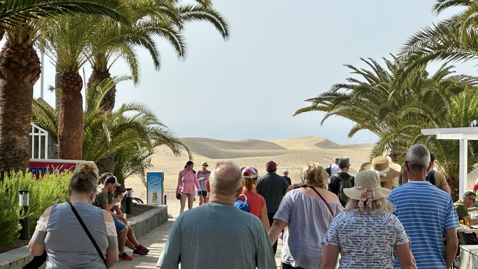 Crowds heading toward the Maspalomas dunes through a palm-lined entrance, with golden sand dunes stretching out ahead in Gran Canaria