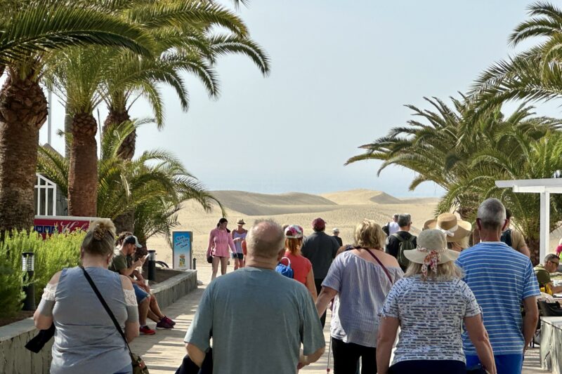 Crowds heading toward the Maspalomas dunes through a palm-lined entrance, with golden sand dunes stretching out ahead in Gran Canaria