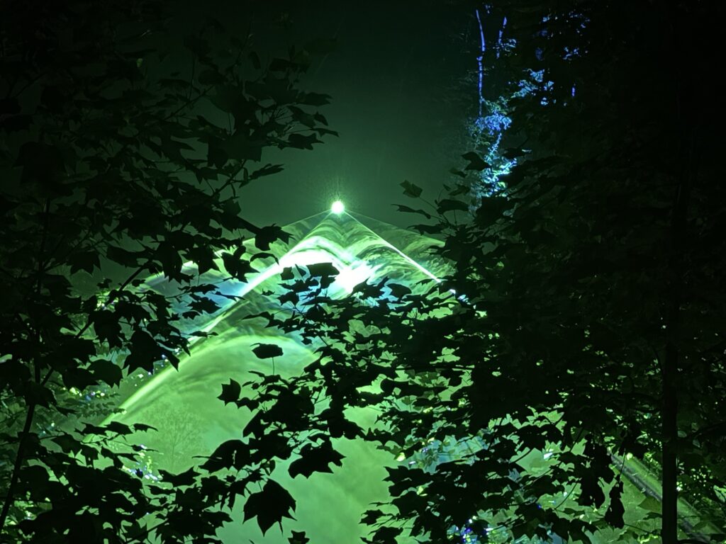 Green laser lights shine in a triangular pattern through dense tree leaves at night, creating an ethereal and vibrant scene with illuminated blue and green tones.