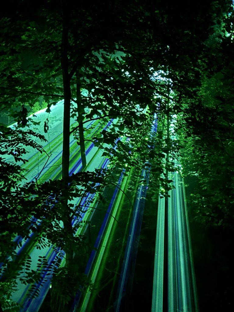 Green and blue beams of light shine through dense tree branches and leaves at night, creating a vibrant, mystical atmosphere in a forest setting.
