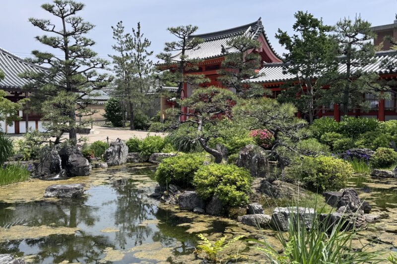 Japan Unscripted: From Osaka Streets to Tokyo Skylines