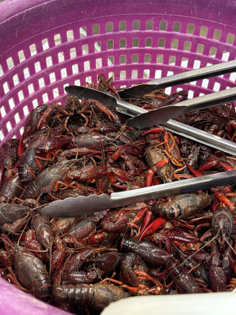 Pink basket with crawfish for purchase. Thongs to lift the crawfish.