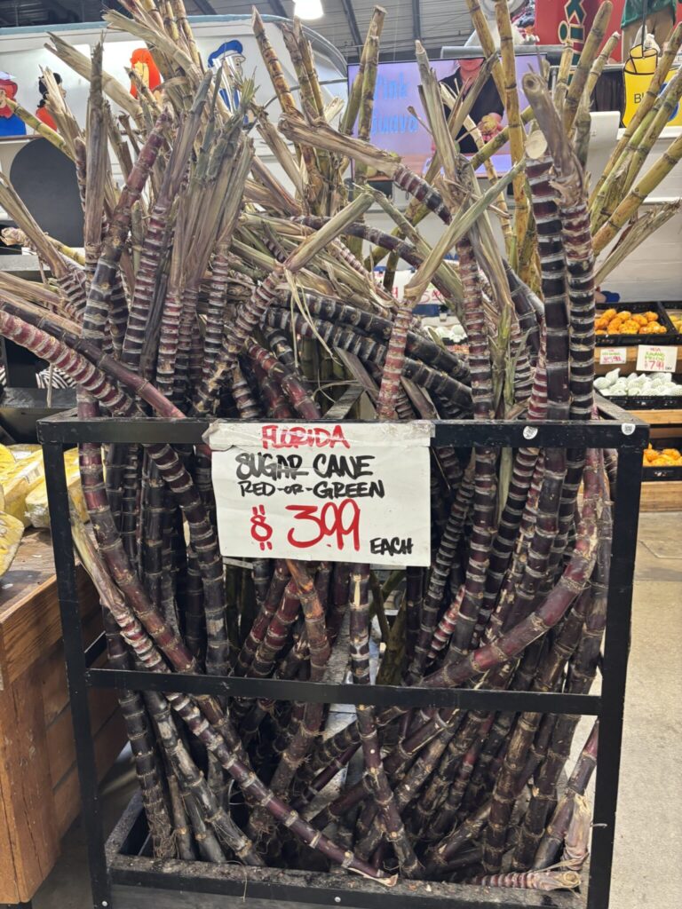 Bin on Florida sugar cane red or green types for $3.99 each