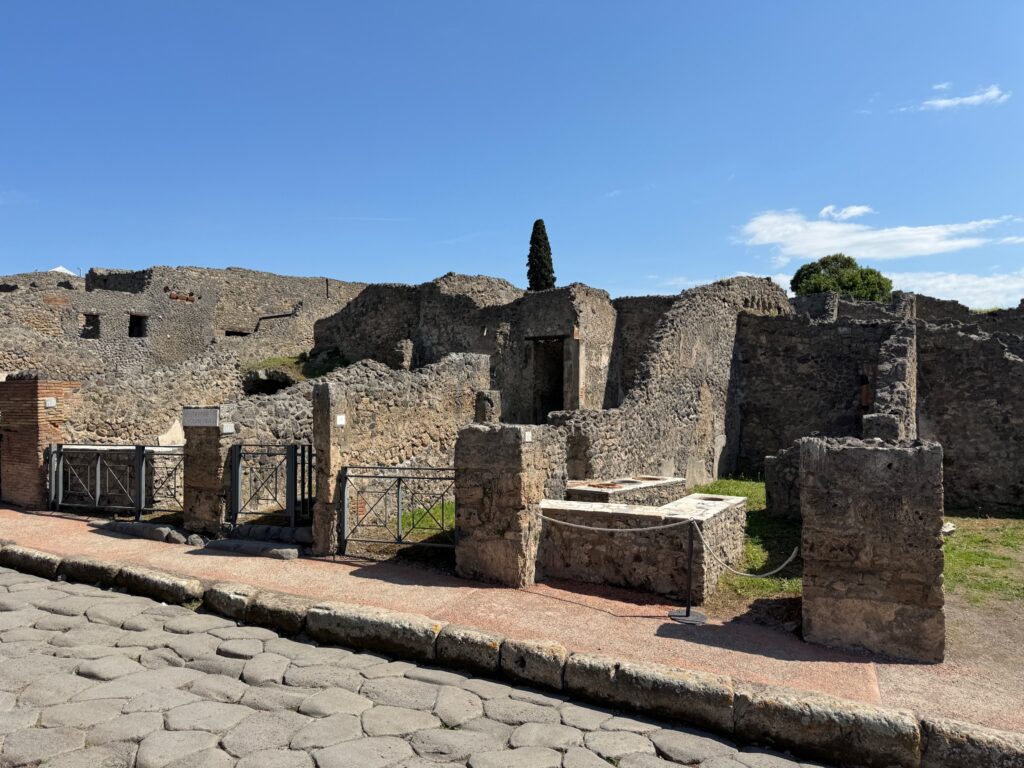 Ruins of ancient Roman stone buildings with a cypress tree and protective barriers under clear blue sky at Pompeii archaeological site