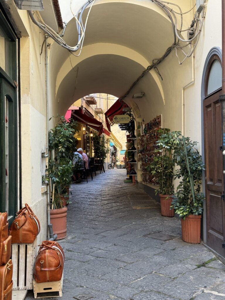Covered Italian passageway with arched ceiling, potted plants, leather bags, and shops lining the stone corridor