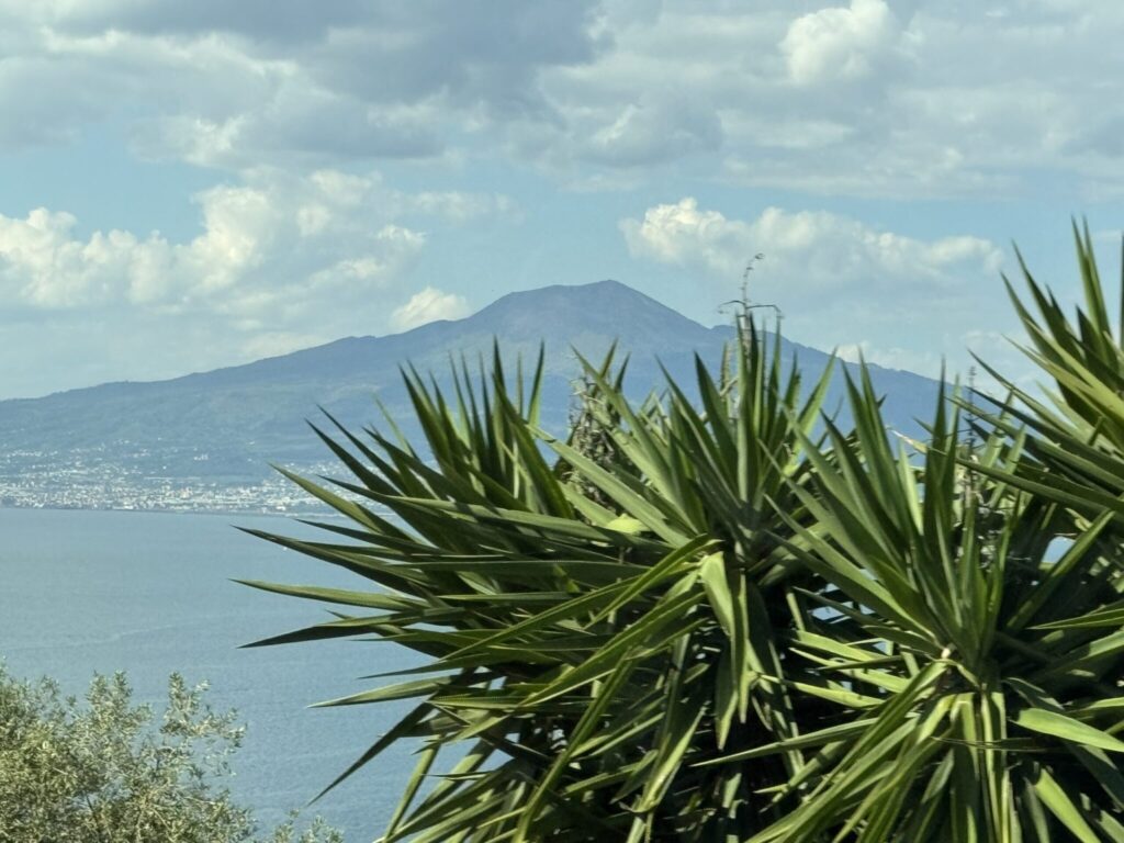 Mount Vesuvius rises above the Bay of Naples with tropical palm fronds in the foreground under a partly cloudy sky