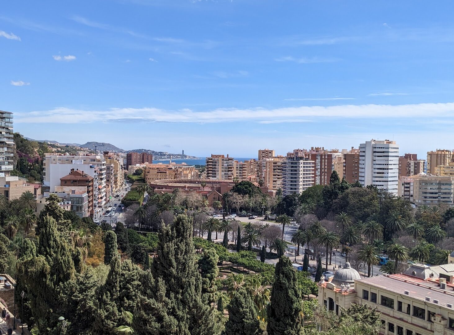 Coastal Malaga skyline with high-rise apartments, palm trees, and sea visible in the distance under blue sky