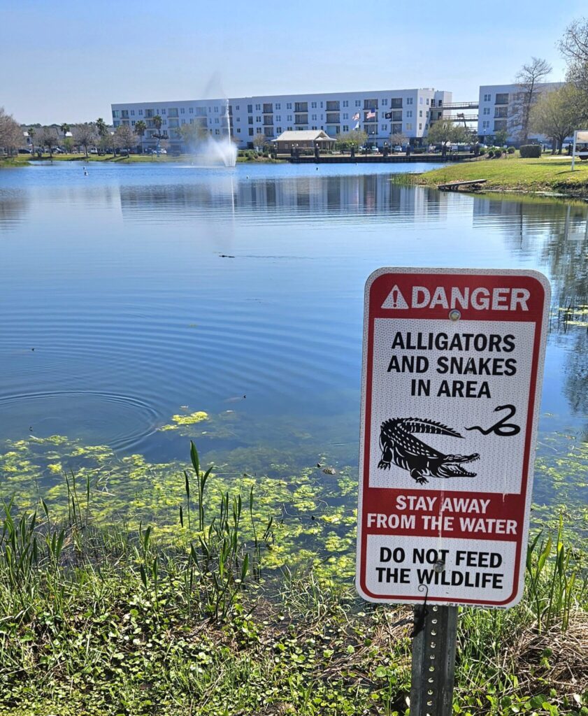 A danger warning sign about alligators and snakes stands beside a calm lake with blue apartment buildings reflected in the water