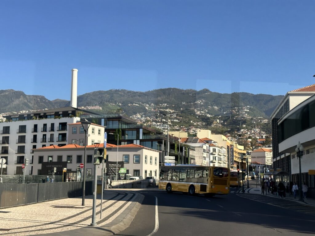Street view near Funchal Madeira cruise port with city buildings and mountains in the background