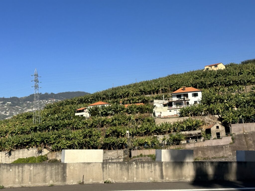 Hillside homes and terraced landscape in Madeira with lush greenery and mountain backdrop