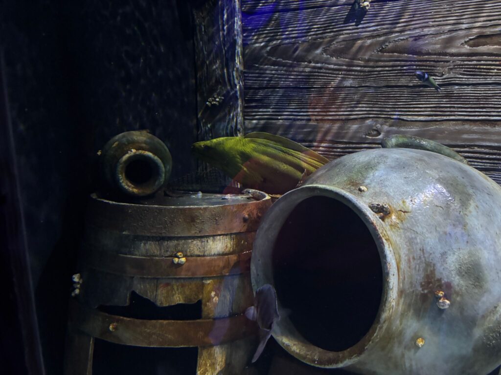 Underwater photograph of corroded metal pipes and wooden structure covered in algae and marine growth