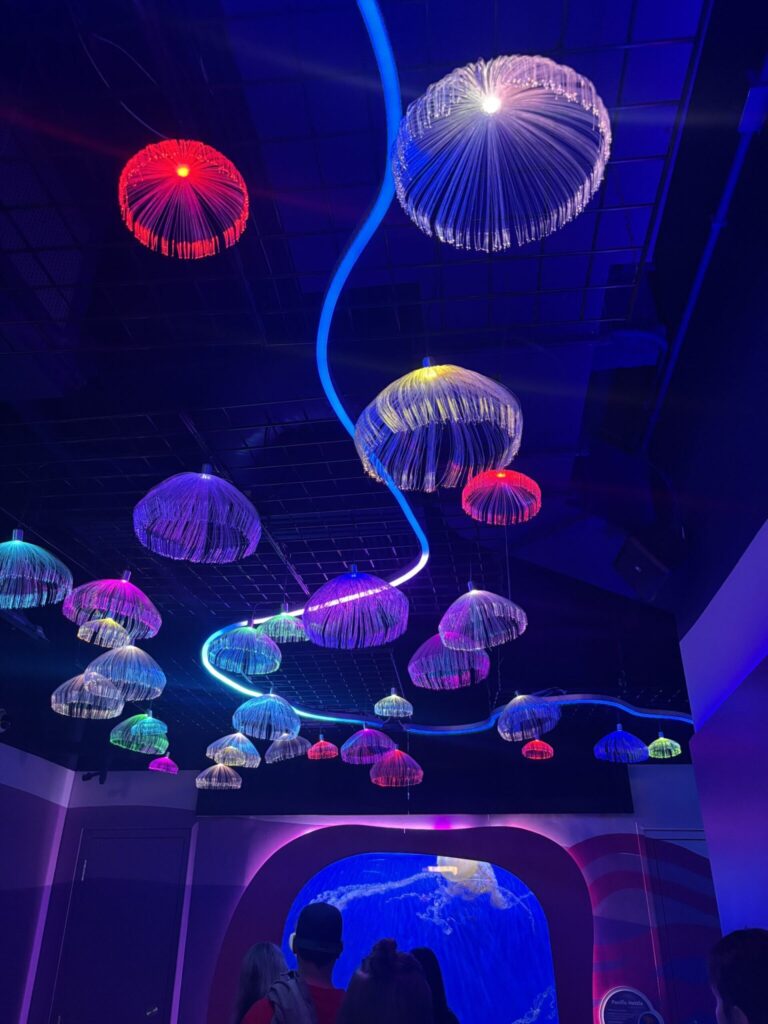 Glowing neon jellyfish sculptures in vibrant colors suspended from ceiling in dark modern indoor space
