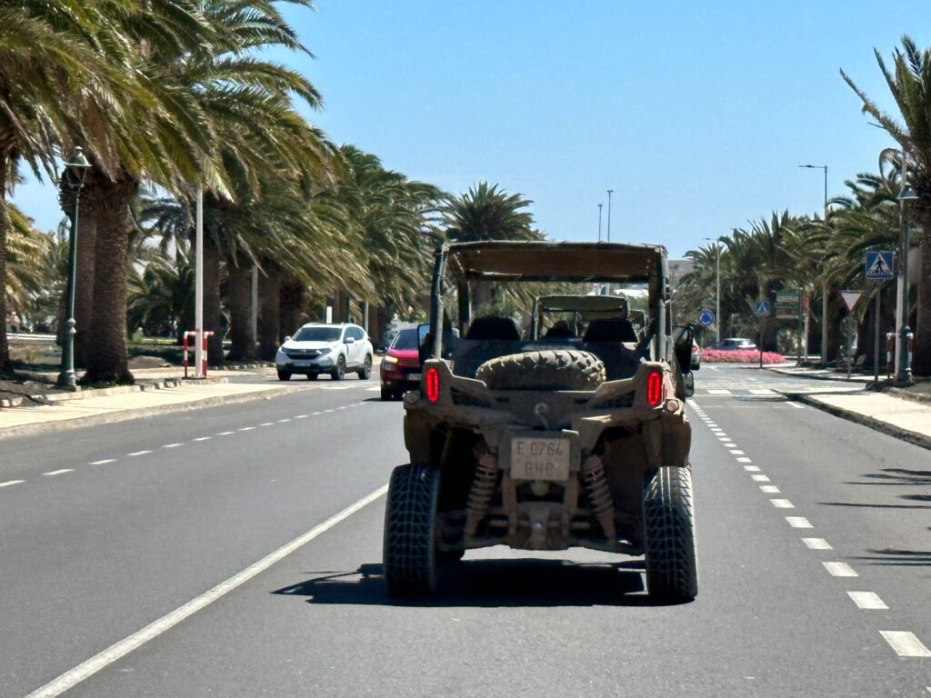 A loaded truck drives down a palm-lined street under clear blue sky in what appears to be a Middle Eastern or North African city