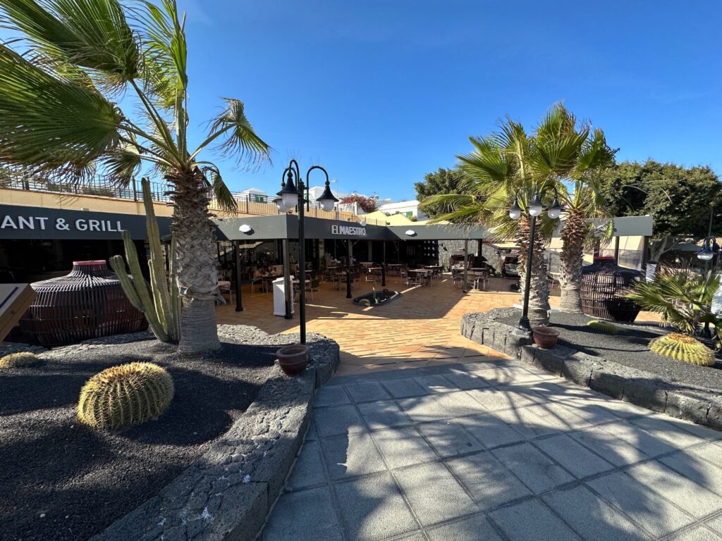 A sunny outdoor dining area with palm trees, cacti, and a restaurant with striped awning under clear blue sky
