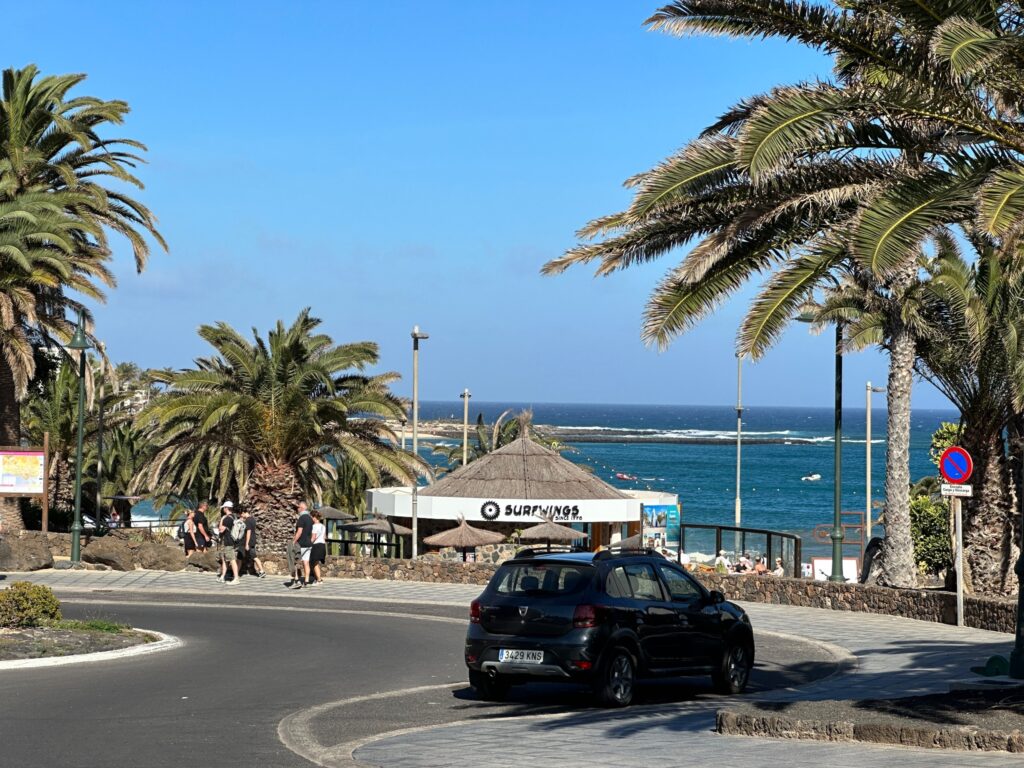 Black car parked on coastal street lined with palm trees, overlooking blue ocean and surfing beach