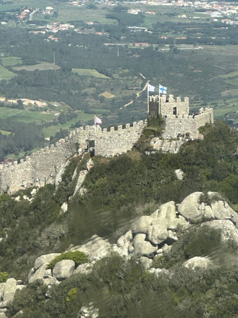Medieval stone castle with flags flying on a hilltop surrounded by forested mountains and valleys with scattered villages below