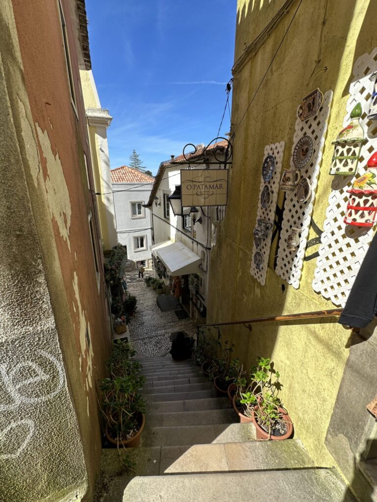 Narrow cobblestone alleyway between colorful buildings with a restaurant sign and decorative plates in a European village