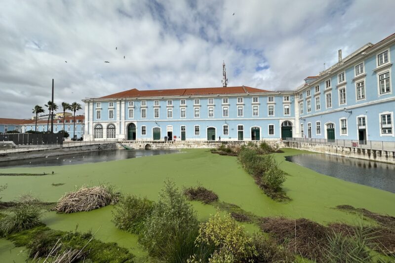 Light blue colonial buildings with green shutters overlook a waterway filled with algae and aquatic vegetation