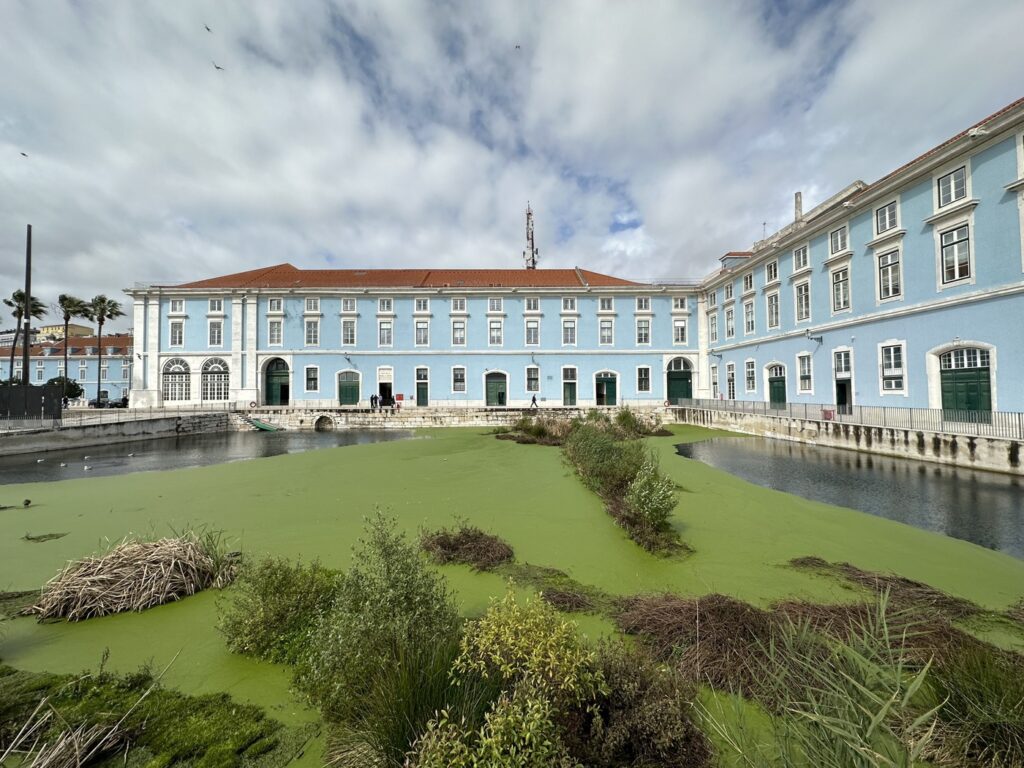 Light blue colonial buildings with terracotta roofs overlook a green algae-covered waterway lined with vegetation