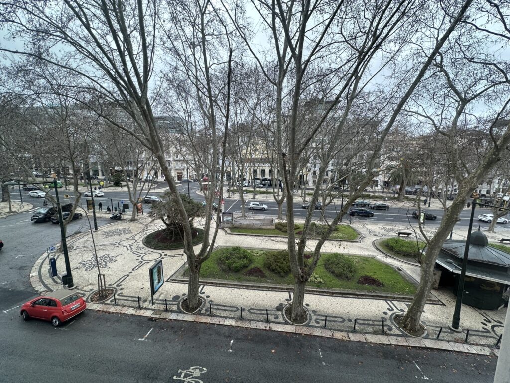 Aerial view of a European city square with bare trees, parked cars, and classical buildings surrounding a pedestrian plaza